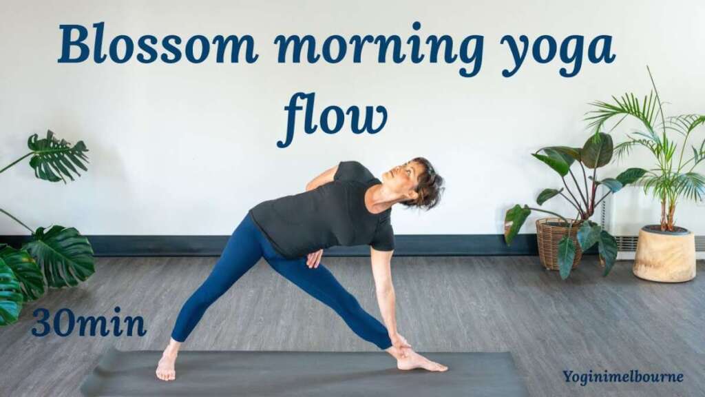 Blossom Morning Yoga Flow | 35min Practice | Whole Body | Connect & Recharge