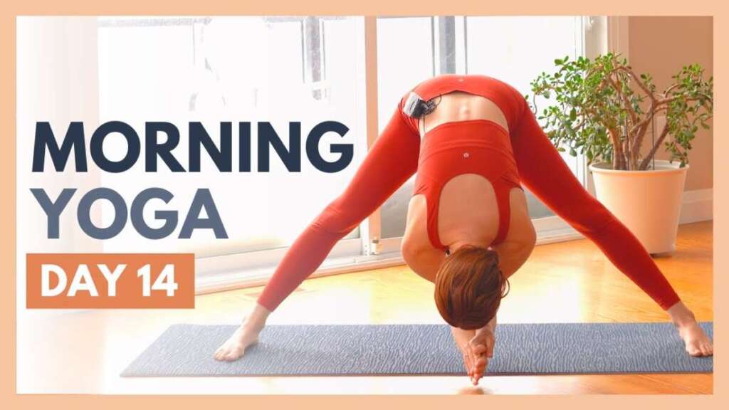 DAY 14: CELEBRATE – 10 Min Morning Yoga Stretch – Flexible Body Yoga Challenge