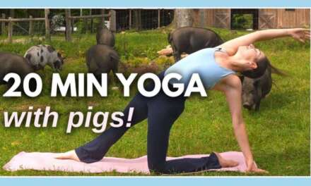20 Min Intermediate Yoga Flow – Yoga With Pigs Fundraiser