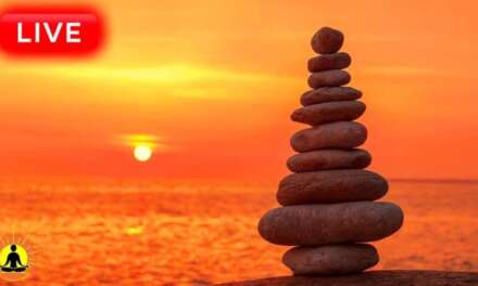 ???? Relaxing Zen Music 24/7, Stress Relief Music, Sleep Music, Meditation Music, Study, Calming Music