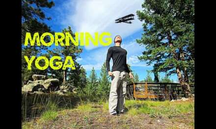 Morning Yoga Stretch For Beginners – Sean Vigue