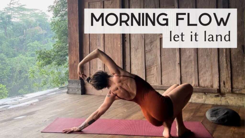 Letting It Land ~ Morning Vinyasa Flow | COLE CHANCE YOGA