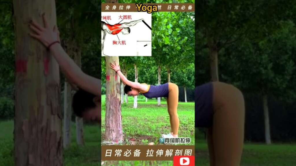 Morning Yoga Practice #yogafittness #yogaroutine #yoga #shorts #motivation