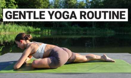 15 Min Gentle Yoga Routine | Beginner Friendly Full Body Stretch