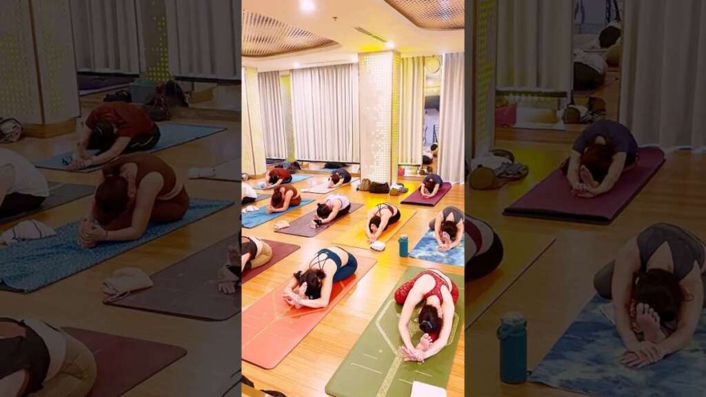 Morning Yoga Class/Yoga Stretch/Yoga Practice #motivation #yogaexercise #yog #yogatraining #yogafit