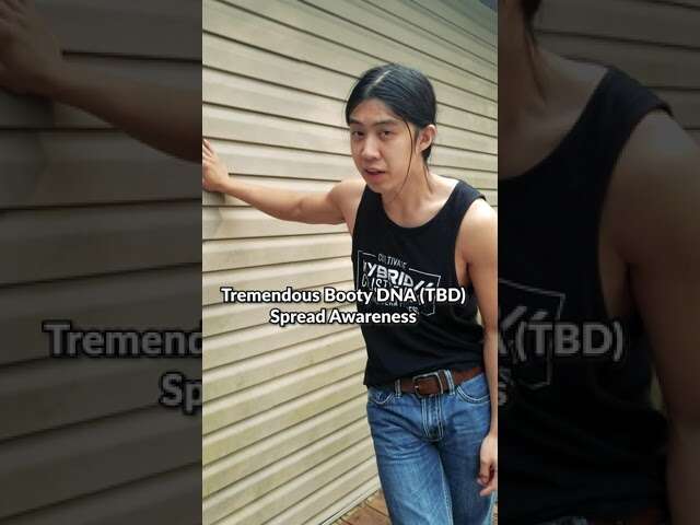 Morning Stretching Routine