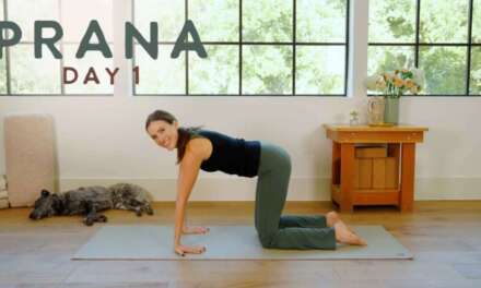 Prana – Day 1