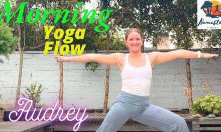 Morning Yoga Flow – All Levels Yoga – Basic Yoga