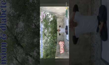 5 Yoga Asanas For Diabetes |  #ytshorts #feed #shorts #diabetes #morningyoga #dailyyoga #littleyogis