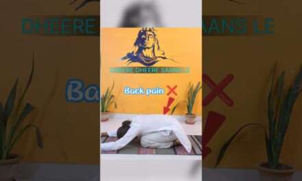 Morning Yoga Stretch For Beginners | Flexibility & Calm