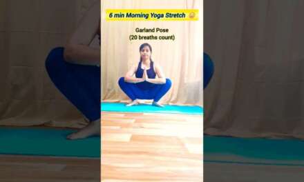 6 Min Morning Yoga Stretch #yoga #yogashorts #morningroutine #yogapractice #yogadaily #yogafit