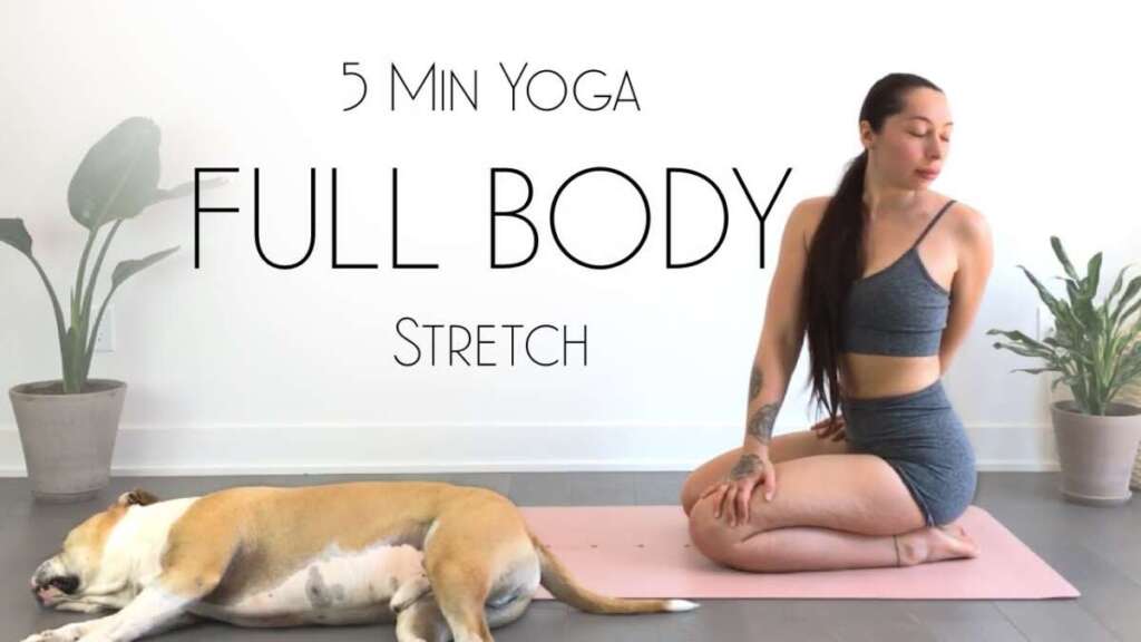 5 Minute Morning Yoga Stretch
