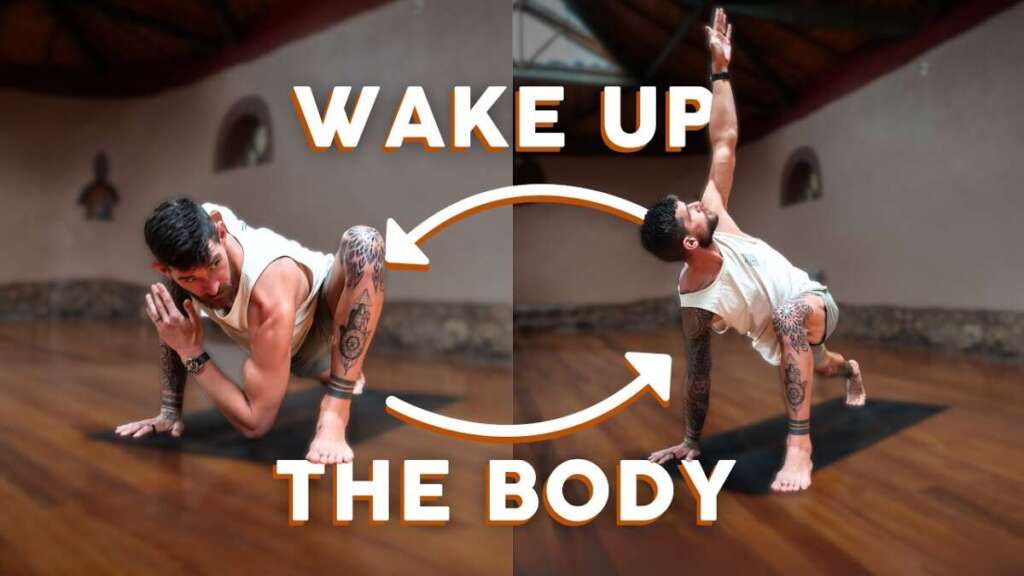 Full Body Stretch & Mobility | Energizing Morning Yoga