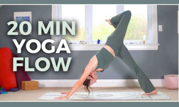 20 Min Full Body Vinyasa – Stretch & Flow