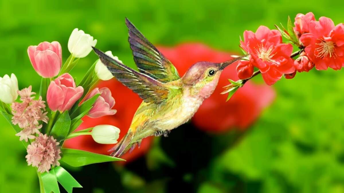 Beautiful Relaxing Music – Stress Relief ,Morning, Meditation,Healing, Spa, Yoga, Backgroud Music