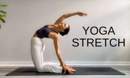 15 Minute Yoga Stretch Break | Open Your Body & Feel Amazing!