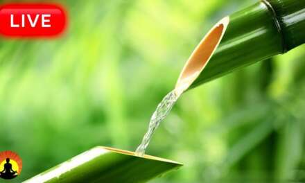 🔴 Relaxing Music 24/7, Meditation Music, Healing Music, Sleep, Zen, Yoga, Study Music, Spa Music