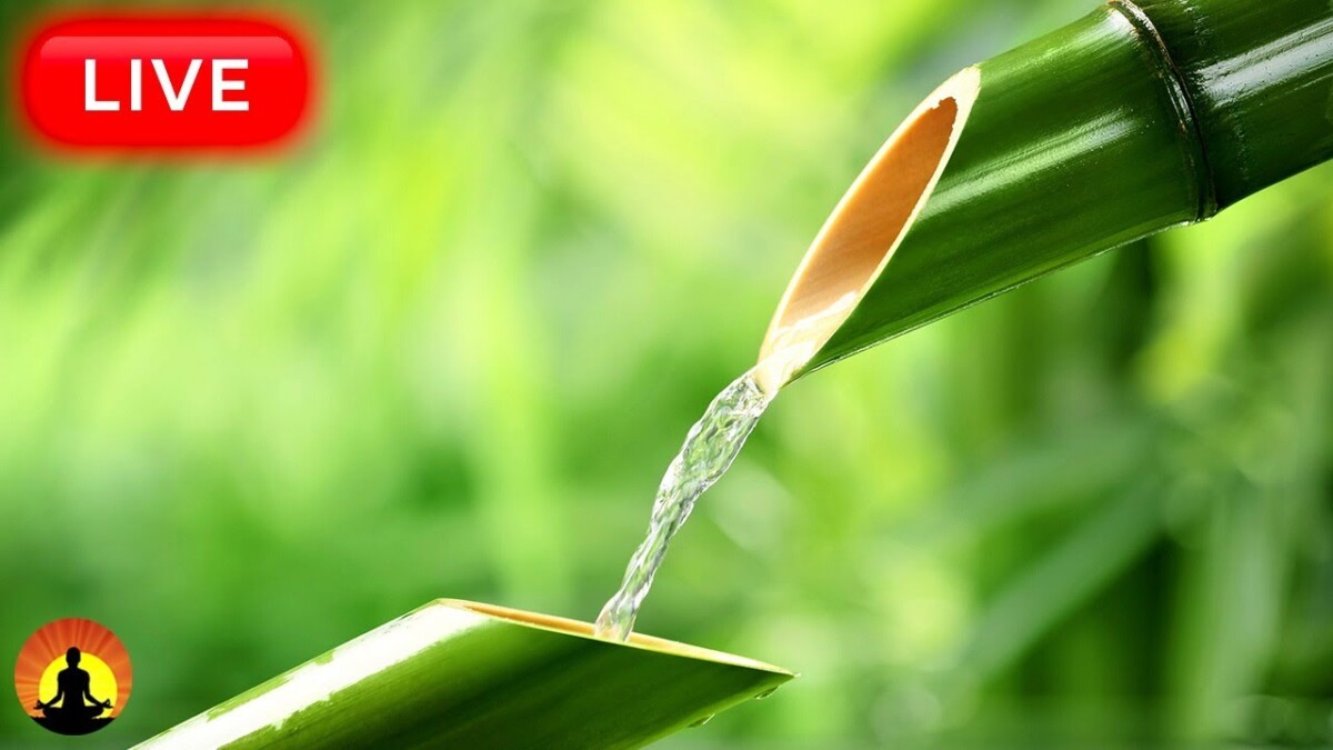 🔴 Relaxing Music 24/7, Meditation Music, Healing Music, Sleep, Zen, Yoga, Study Music, Spa Music