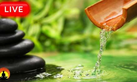 🔴 Relaxing Music 24/7, Sleeping Music, Meditation, Stress Relief Music, Yoga, Zen, Spa, Sleep Music