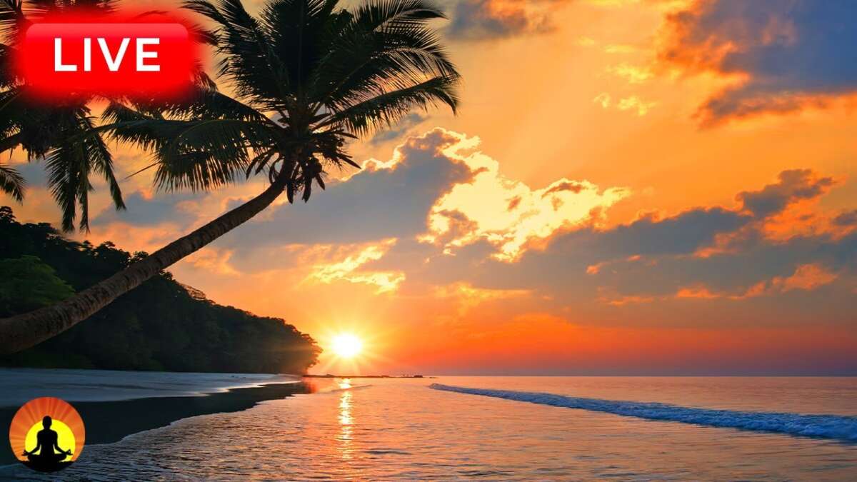 🔴 Relaxing Music 24/7, Sleep Music, Stress Relief Music, Spa, Meditation, Yoga, Zen, Sleeping Music