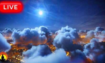 🔴 Deep Sleep Music 24/7, Sleeping Music, Insomnia, Meditation Music, Zen, Yoga, Study Music, Sleep