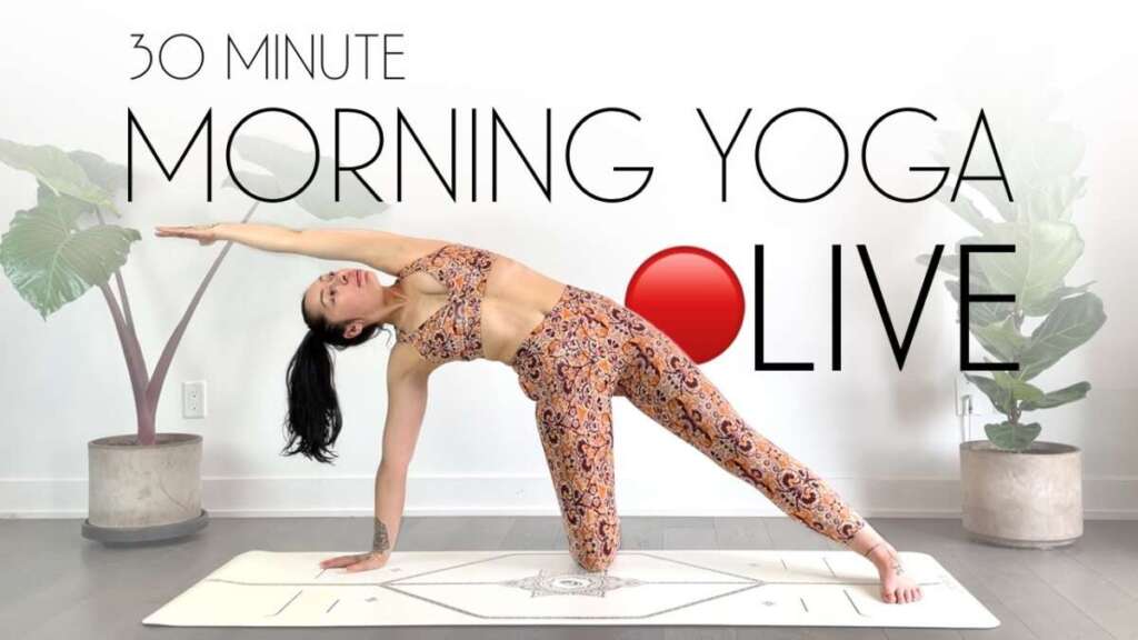 🔴 LIVE 30 Min Morning Yoga With Bird (All Levels Yoga)